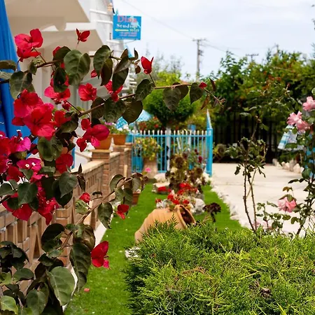 Apartman Asteri *
